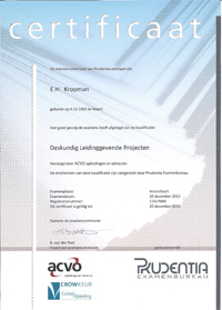 Deskundige Leidinggevende Projecten